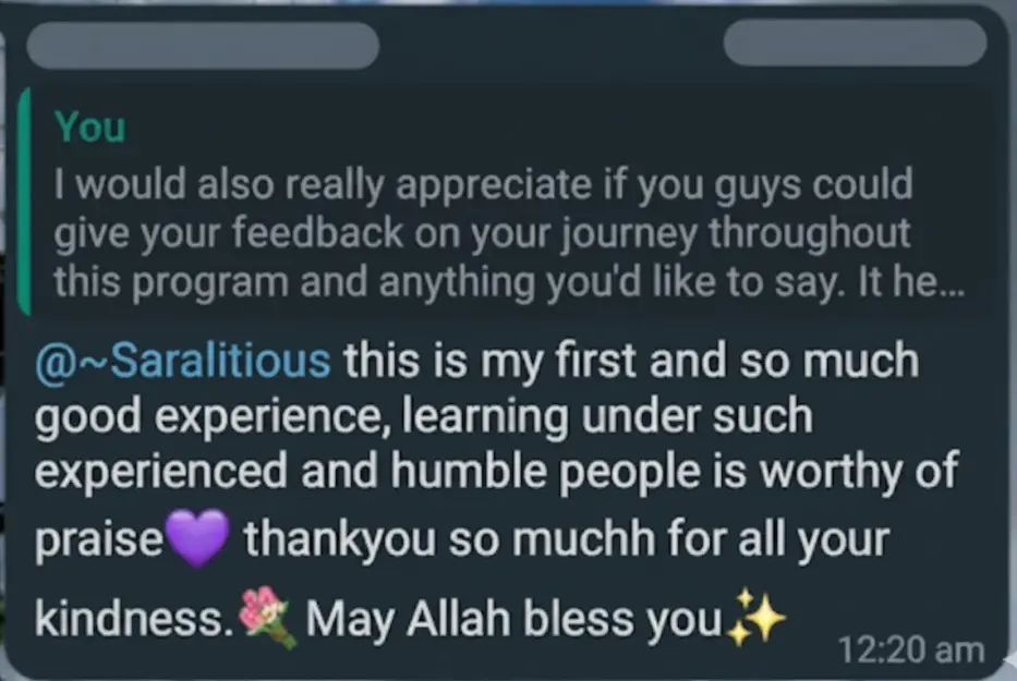 WhatsApp review from a previous Evolution intern